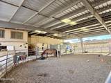 11600 Cowboy Trail - Photo 10