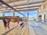 11600 Cowboy Trail - Photo 12