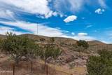 0 Juans Canyon (Fs 1094) Road - Photo 66