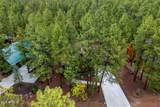 6346 Christmas Tree Circle - Photo 42