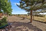 2660 Palomino Trail - Photo 27