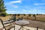 2660 Palomino Trail - Photo 32