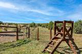 2660 Palomino Trail - Photo 33