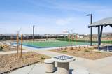 10286 Desert View Drive - Photo 56