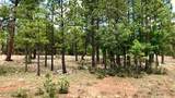 2526 Well Water Road - Photo 2