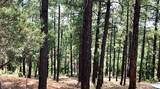 2526 Well Water Road - Photo 3
