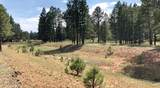 2526 Well Water Road - Photo 4