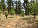 2526 Well Water Road - Photo 5