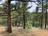2526 Well Water Road - Photo 6