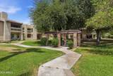 8651 Royal Palm Road - Photo 14