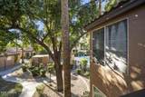10101 Arabian Trail - Photo 8
