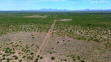 8901 Highway 181 - Photo 16