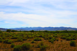 8901 Highway 181 - Photo 24