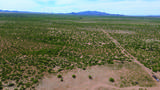 8901 Highway 181 - Photo 8