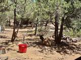 6719 Pine Cone Trail - Photo 48
