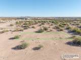3870 Fawn Street - Photo 7