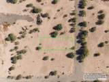 3870 Fawn Street - Photo 9