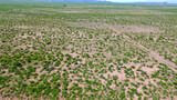 167 AC Highway 181 - Photo 8