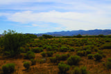 167 AC Highway 181 - Photo 18