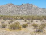 46010 Maricopa Road - Photo 2
