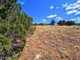 8546 Silver Creek Drive - Photo 3