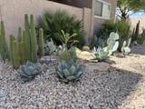 5525 Thomas Road - Photo 30