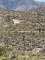 xxx Lake Pleasant / Cow Creek Road - Photo 10