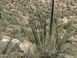 xxx Lake Pleasant / Cow Creek Road - Photo 11