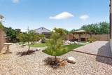 20464 Coolidge Street - Photo 62