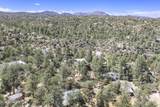 315 Remington Trail - Photo 3