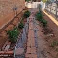 2980 Oriole Drive - Photo 42