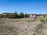 8833 Grass Valley Lane - Photo 46