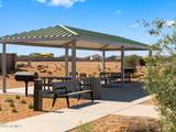 31360 Cattail Street - Photo 34