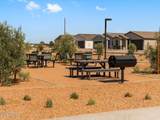 31360 Cattail Street - Photo 35