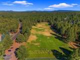 4251 Branding Iron Loop Loop - Photo 112