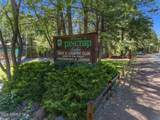 4251 Branding Iron Loop Loop - Photo 120