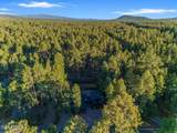 4251 Branding Iron Loop Loop - Photo 126