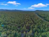 4251 Branding Iron Loop Loop - Photo 131