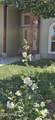 2155 Chisholm Trail - Photo 44