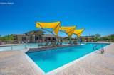 10046 Cardon Grande Trail - Photo 29