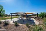 10046 Cardon Grande Trail - Photo 30