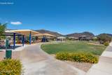 10046 Cardon Grande Trail - Photo 31