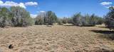 2901 Cienega Drive - Photo 1