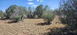 2901 Cienega Drive - Photo 3
