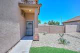 6830 Palo Verde Drive - Photo 4