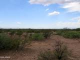 TBD Hermosillo Road - Photo 5