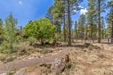 2901 Creekside Drive - Photo 77
