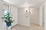 11137 Palmeras Drive - Photo 3