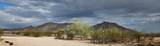 31845 Thompson Road - Photo 23
