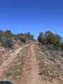 1076 Horseshoe Springs Road - Photo 8